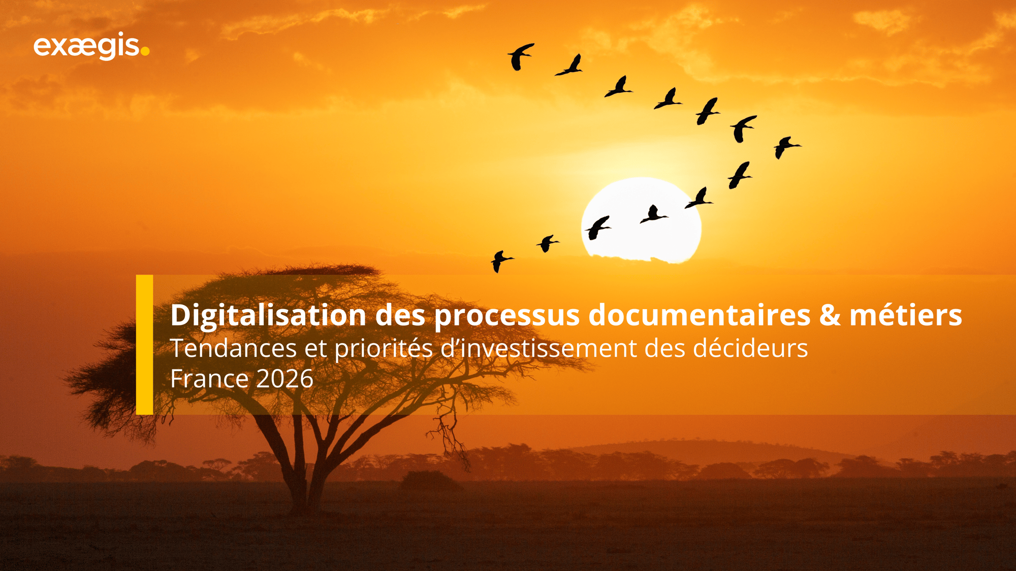 Digitalisation des processus - Tendances et priorités dinvestissement des décideurs, France 2026-1 Digitalisation des processus - Tendances et priorités dinvestissement des décideurs, France 2026-1