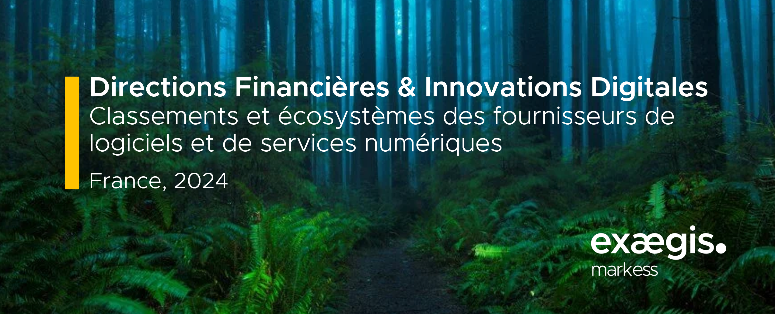 Directions Financières & Innovations Digitales - Classements et écosystèmes des fournisseurs
