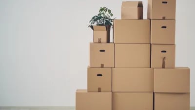 Accueil_flow_illustration_ebook21_archivage