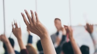 flow_focus_2024_vote_1