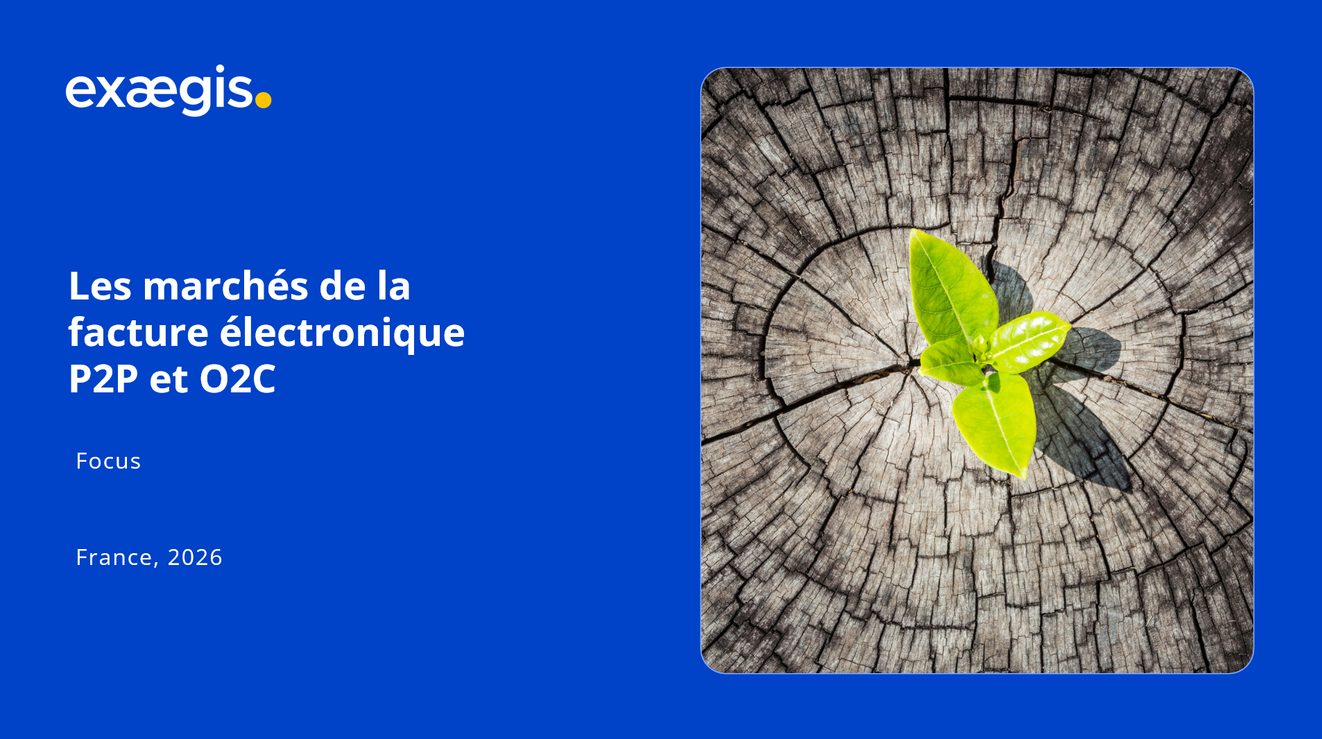 Les marchés de la facture électronique P2P et O2C