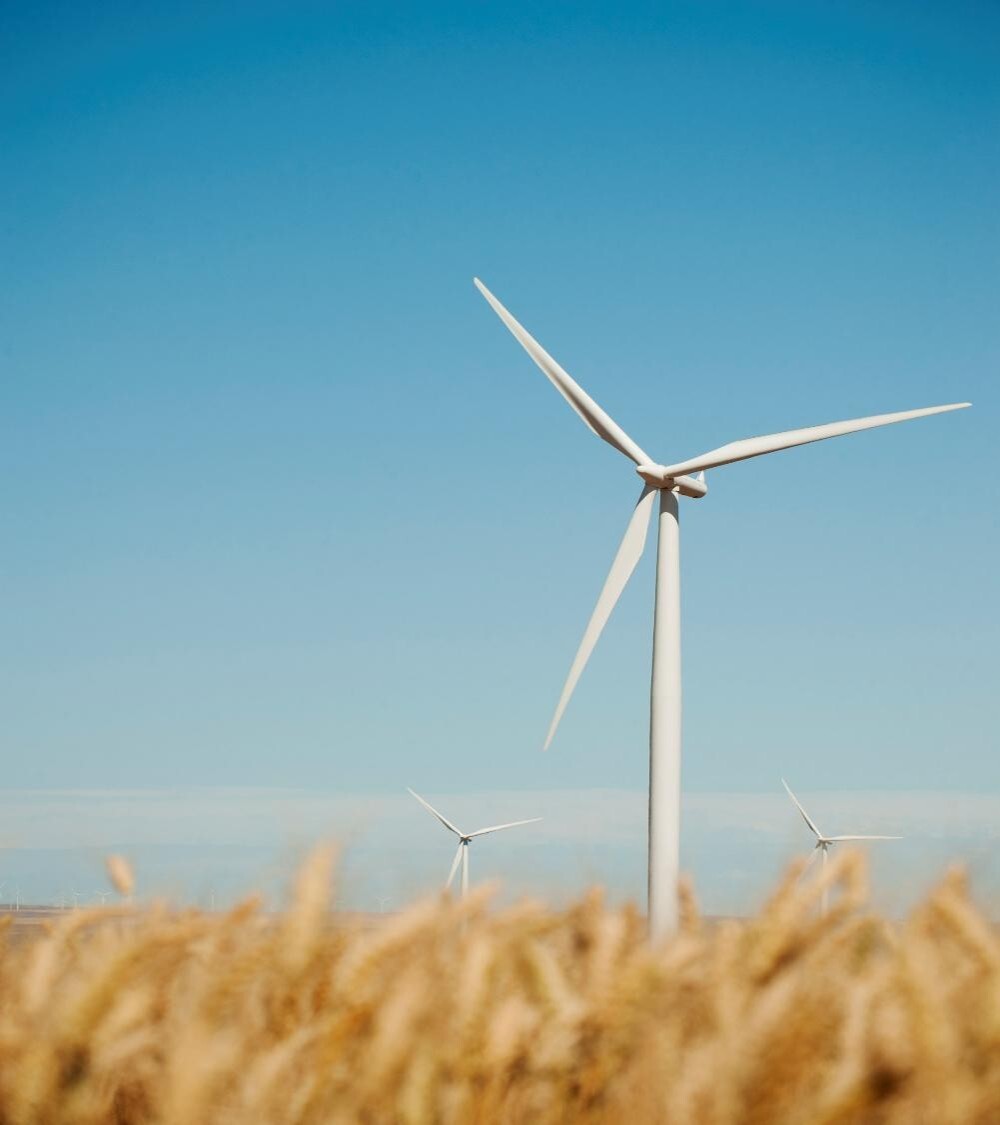 cfo_blueprint_csrd_1 cfo_blueprint_csrd_1