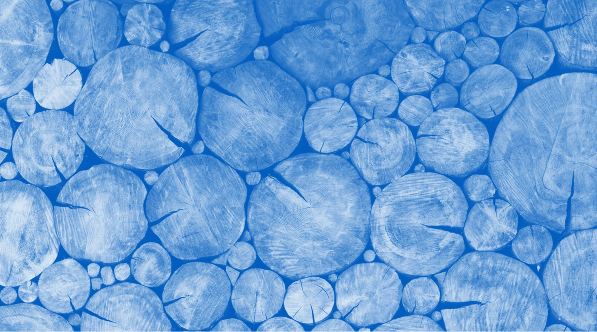 chro_Blueprint_GTAP_23_couv chro_Blueprint_GTAP_23_couv